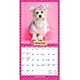 2026 BrownTrout Puppies in Pink 7" x 7" Monthly Wall Calendar (9798330707942)~#|#~A213635E-A39E-41CC-80069E39C6D376C4_sc7
