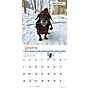 2026 Willow Creek Crusoe the Celebrity Dachshund 12" x 12" Monthly Wall Calendar (50910)~#|#~A242F139-F402-4B68-A4CF62596FF9F140_sc7