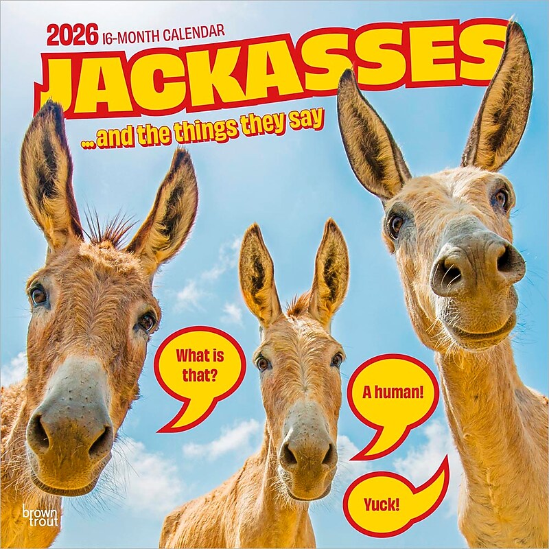 2026 BrownTrout Jackasses 12" x 12" Monthly Wall Calendar (9798330703982) image 1