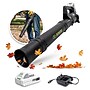 Sun Joe IONMAX Compact Leaf Blower, Cordless, 24-Volt (24V-TB-LTE)~#|#~A27A5FB1-9761-47C3-852396882D72FC51_sc7