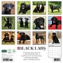 2027 Willow Creek Black Labs 12" x 12" Monthly Wall Calendar, Assorted Colors (59272)~#|#~A27DB405-E3A5-42E2-846431C79CF01C41_sc7