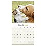 2027 TF Publishing Furry Friends 12" x 12" Monthly Wall Calendar (27-1011)~#|#~A2894590-C487-433B-AD4818ED0ABEEB8E_sc7