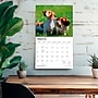 2027 BrownTrout For the Love of Dachshunds 14" x 12" Monthly Wall Calendar, Assorted Colors (9798330709243)~#|#~A29164C7-0D86-452B-8387954EE68691FE_sc7
