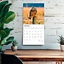 2026 BrownTrout Owls 12" x 12" Monthly Wall Calendar (9798330705054)~#|#~A2AB1559-784B-42C8-BE4000DBA1B90995_sc7