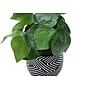 Monarch Specialties Inc. 8" Artificial Alocasia Plant in Pot, 2/Set (I 9559)~#|#~A2B70508-3E06-41C7-8DC697F1EE55E77B_sc7