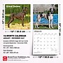 2027 BrownTrout Great Danes 12" x 12" Monthly Wall Calendar (9798330714216)~#|#~A2C2F667-E304-46ED-B2908DF6E7831F0D_sc7