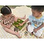 The Freckled Frog Nature's Sorting Box, Assorted Colors (CTUFF497)~#|#~A2C86BA2-93CE-46D8-928DCC8988034CEF_sc7