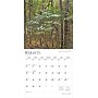 2026 BrownTrout Alabama Wild & Scenic 12" x 12" Monthly Wall Calendar (9798330702022)~#|#~A2CBE556-44A1-4BB8-8CFC1D0162E60F3C_sc7