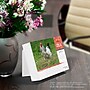 2026 BrownTrout Chickens 6.06" x 5.13" Day-to-Day Calendar (9798330702855)~#|#~A2CE5243-BA40-4168-98F7B19171A6C21D_sc7
