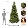 National Tree Company Natural Fraser Fir Artificial Christmas Tree (NAFFSLH1-100LO)~#|#~A2F93DED-E869-40F0-95F66169F16FADB1_sc7