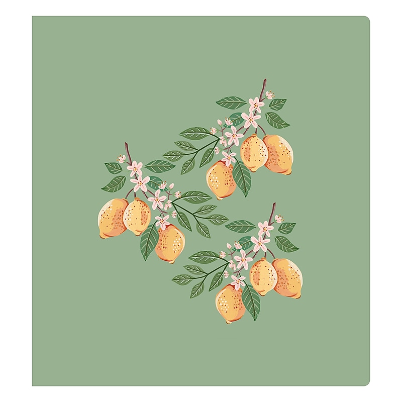 Blue Sky Letterpress 1-1/4" 3-Ring Binder, Lemons (155603) image 1