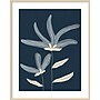 Amanti Art Two Flowers by Alisa Galitsyna Wood Framed Wall Art Print, 33"W x 41"H (A42678648390)~#|#~A30ED6C9-ECF2-446E-B428A74D4F8130EF_sc7