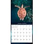 2026 Willow Creek Sea Turtles 12" x 12" Monthly Wall Calendar (55540)~#|#~A3181E73-EFB5-4B54-AA43EA07995A8052_sc7