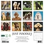 2027 Willow Creek Poodles 12" x 12" Monthly Wall Calendar, Assorted Colors (61879)~#|#~A3500ECC-299D-4CDD-9BFD55B92900268E_sc7