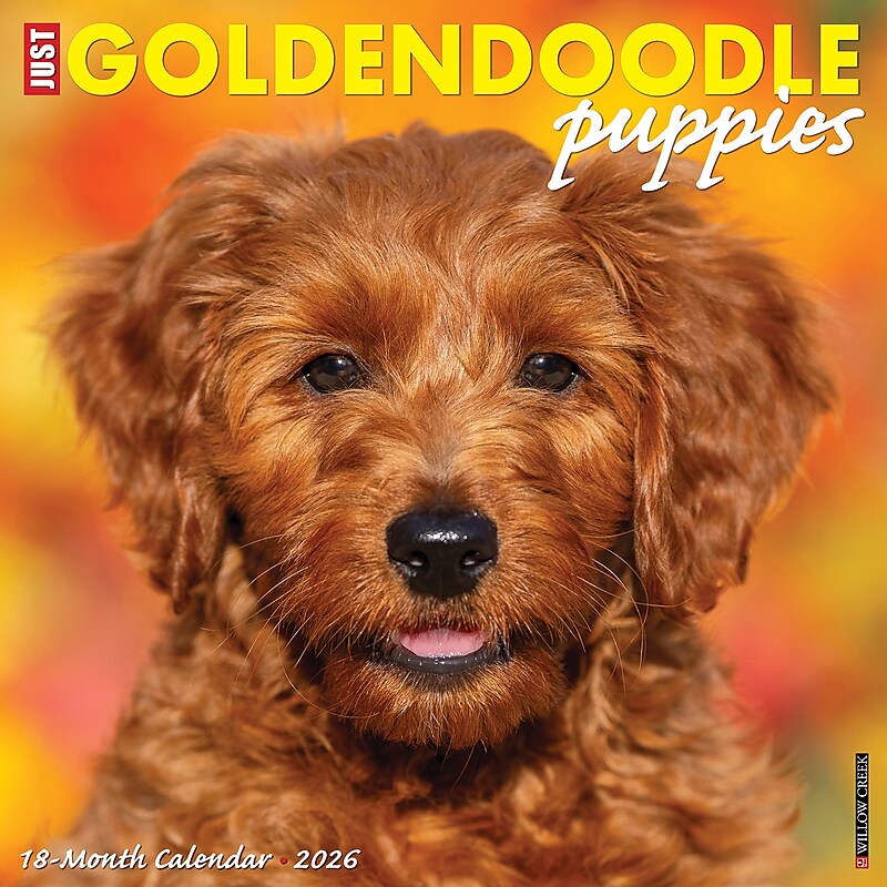 2026 Willow Creek Goldendoodle Puppies 12" x 12" Monthly Wall Calendar (51306) image 1