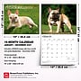 2027 BrownTrout For the Love of French Bulldogs 14" x 12" Monthly Wall Calendar, Assorted Colors (9798330714704)~#|#~A379945F-DE8F-46FB-9199FDCB0CBEC979_sc7