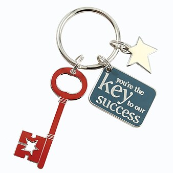 Key to Success Colorful Silver Star Charm Key Chains, Assorted Colors (139792131)