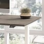 Bush Business Furniture Move 40 Series 72"W Electric Adjustable Standing Desk, Modern Hickory (M4S7230MHWK)~#|#~A399C1C9-4950-4877-B45A542D37E54FA2_sc7