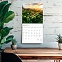 2026 BrownTrout Boston 12" x 12" Monthly Wall Calendar (9798330702572)~#|#~A3B99B90-3AFE-427B-A124DB29CC3B0CAB_sc7