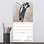 2026 TF Publishing 12" x 17" TF Publishing 7" x 7" Backyard Birds Mini Calendar 26-2013~#|#~A4043066-7E0A-49A6-B93922E4DEB2E3DF_sc7