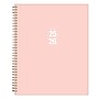 2025-2026 Blue Sky Aylin 8.5" x 11" Academic Year Weekly & Monthly Planner, Plastic Cover, Multicolored (155802)~#|#~A409B242-BD5B-4B06-B9AC049B89156FFB_sc7