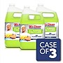Mr. Clean Professional Liquid Concentrate All Purpose Floor Cleaner, Lemon Scent, 1 Gallon, 3/Carton (02621)~#|#~A41F9515-1CA0-4CB8-99A24158D9E8498C_sc7