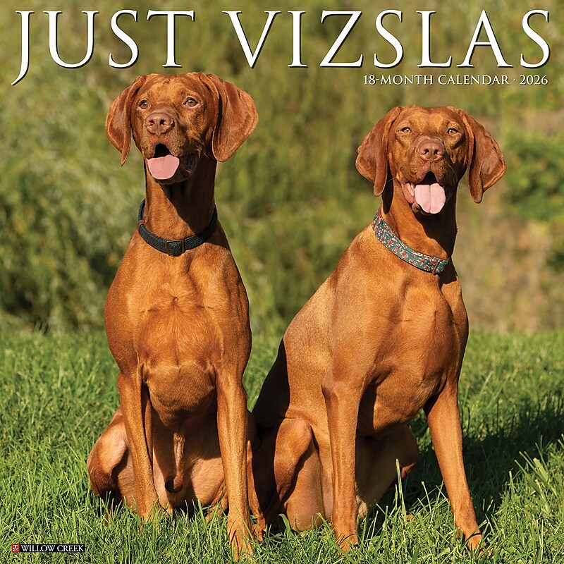 2026 Willow Creek Vizslas 12" x 12" Monthly Wall Calendar (53089) image 1