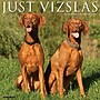 2026 Willow Creek Vizslas 12" x 12" Monthly Wall Calendar (53089)~#|#~A43393D0-56B2-48A1-BC1194315C29A8A5_sc7