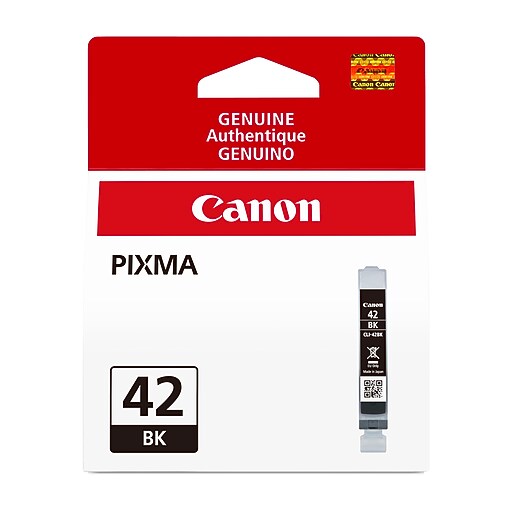 Canon 42 Black Standard Yield Ink Cartridge (6384B002) | Staples