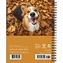 2027 Willow Creek What Dogs Teach Us 6.5" x 8.5" Weekly & Monthly Desk Calendar (64450)~#|#~A46DE08E-9B8A-4116-9DCFE92F32EF2408_sc7