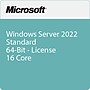 Microsoft Windows Server 2022 Standard 64-Bit Software License (P73-08328)~#|#~A47DE03E-BA7C-4D24-AA377C276F9B240E_sc7