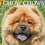 2026 Willow Creek Chow Chows 12" x 12" Monthly Dry Erase Wall Calendar (50712)~#|#~A4853932-6FE9-4CAB-98A33BD79538CFB3_sc7