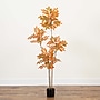 Nearly Natural 5' Autumn Minimalist Sumac Artificial Fall Tree (T4822)~#|#~A48D4340-36C8-4B9C-B8B3E1681AA7A48A_sc7
