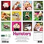 2026 Willow Creek Hamsters 12" x 12" Monthly Wall Calendar (57025)~#|#~A48E7803-BE0D-43E8-9142D541EBDB20FC_sc7