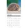 2026 Willow Creek Hedgehogs 12" x 12" Monthly Wall Calendar (51467)~#|#~A4915D34-A168-48D2-B690D8D1E044047A_sc7