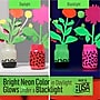 FolkArt Multi-Surface Acrylic Paint Set, 2oz., Neon Blacklight, 4/Pack, 3 Packs/Bundle (FLK7506-3)~#|#~A4920F14-CFA6-4C60-8C1F5E38DAE1DFEA_sc7