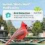 Birdfy Feeder 2 Pro with Dual-Lens Camera, Solar Panel and Free AI Lifetime Subscription, Green (EPPAMBNI8612100)~#|#~A4B66590-493E-4E9E-A5C05032DF027CA1_sc7