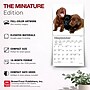 2027 BrownTrout Lab Puppies 7" x 7" Monthly Wall Calendar (9798330710027)~#|#~A4D84ADE-1863-4E47-9DD636543F1D81B8_sc7