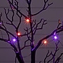 Nearly Natural Pre-Lit Artificial Halloween Black Spooky Twig Tree, 2' (T5230)~#|#~A4E589E9-5FD0-4A21-B5207AE2AA271757_sc7