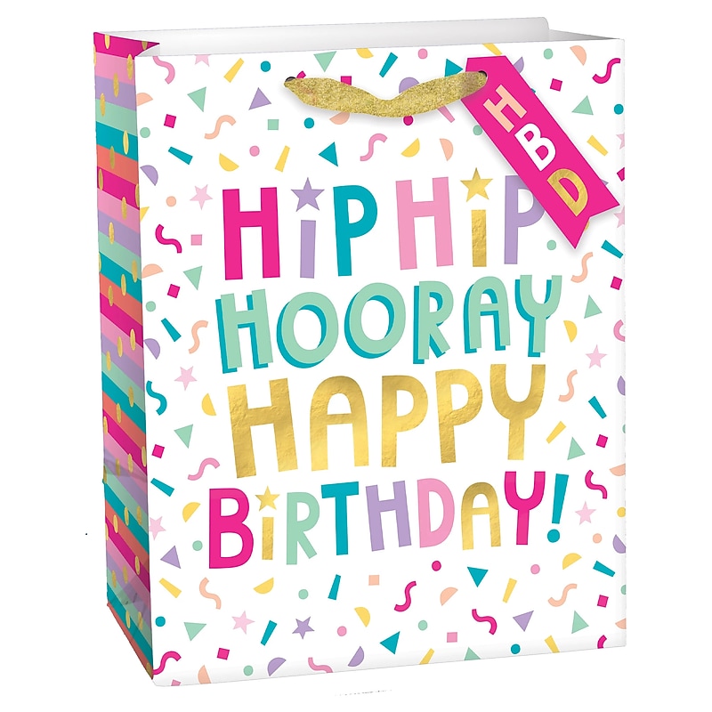 Party City Hip Hip Hooray Birthday Small Gift Bag, Multicolored (AM160741-NS) image 1