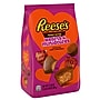 Reese's Hearts & Miniatures Peanut Butter Milk Chocolate Candy Bag, 21.49 oz. (HEC45585)~#|#~A4F8333B-1555-4BA9-B034CEB96B6F86C3_sc7