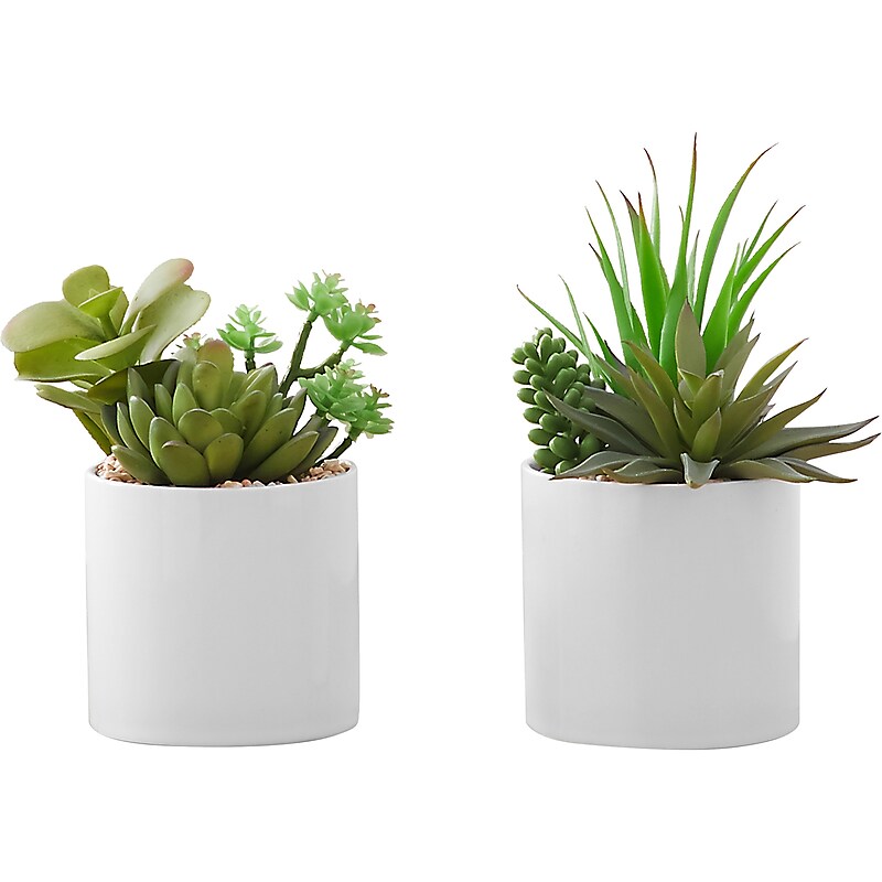 Monarch Specialties Inc. Succulents in Pots, 2/Pack (I 9588) image 1