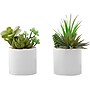 Monarch Specialties Inc. Succulents in Pots, 2/Pack (I 9588)~#|#~A5198749-2922-44FD-8B7AD077CBC64B9D_sc7