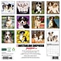 2027 Willow Creek Australian Shepherd Puppies 12" x 12" Monthly Wall Calendar, Assorted Colors (58923)~#|#~A5290BB0-9372-442D-9F20F378AEE42995_sc7