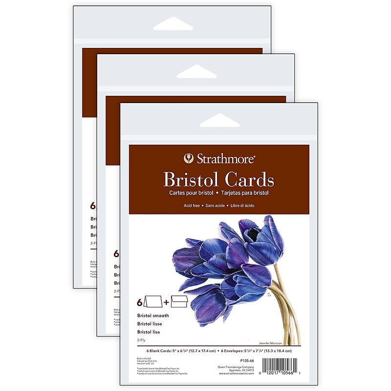 Strathmore 400 Series Bristol Cards & Envelopes, 6.875" x 5", White, 6/Pack, 3 Packs/Bundle (STTP10566-3) image 1