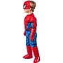 Party City Rubies SpiderMan Costume, Youth, 3T (702913-3T4T-STP)~#|#~A53282A7-F41E-4A7C-B5E02D291C004E09_sc7