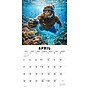 2027 Willow Creek Bigfoot Travels the World 12" x 12" Monthly Wall Calendar, Assorted Colors (59210)~#|#~A53E220C-276E-45E5-820C7E7A03CD4AD0_sc7