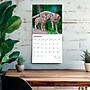 2026 BrownTrout Wolves 12" x 12" Monthly Wall Calendar (9798330706402)~#|#~A58D667F-3F20-4395-986E714A9E062740_sc7