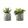 Monarch Specialties Inc. 6" Artificial Succulent Plant in Pot, 2/Set (I 9586)~#|#~A596ABDF-F303-4B73-88F10BB6864D9AB5_sc7