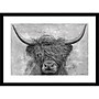 Amanti Art Norwegian Bison, Paper, 25" x 19" (A42675522856)~#|#~A5AB2DA5-A6BD-4020-A003F5138AC308D2_sc7
